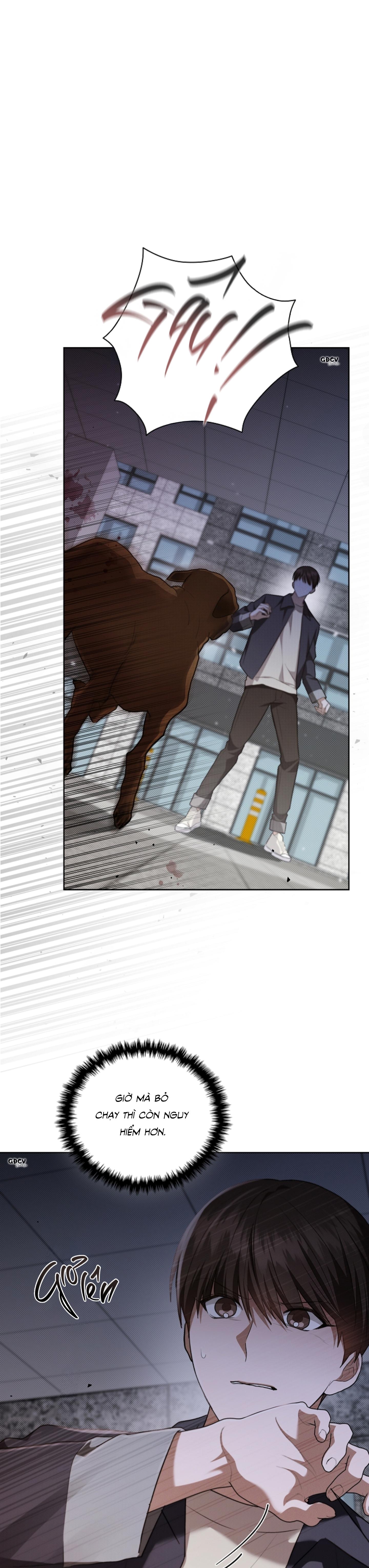 Đọc truyện ĐỪNG CHẠM VÀO CÚN CON CỦA TÔI - Chapter 24