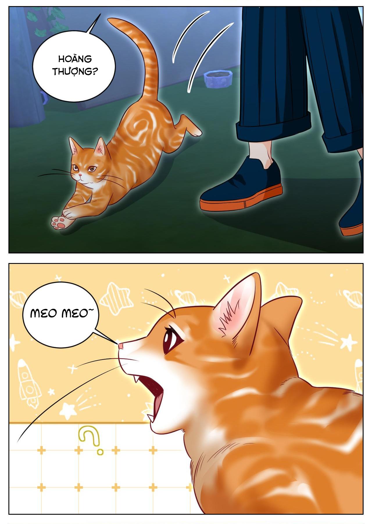 Đọc truyện Ký túc xá nam phòng 303 - Chapter 238