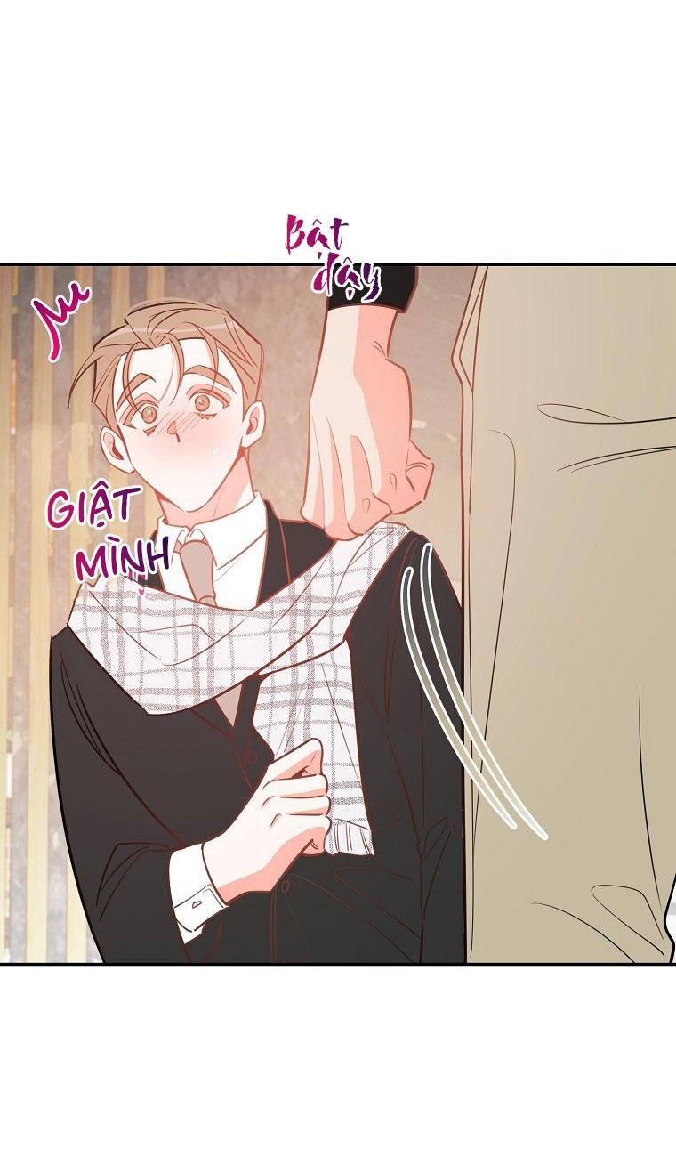 Đọc truyện Có Chuyện Gì Xảy Ra với Sự Nổi Tiếng Của Tôi Thế? - Chapter 82