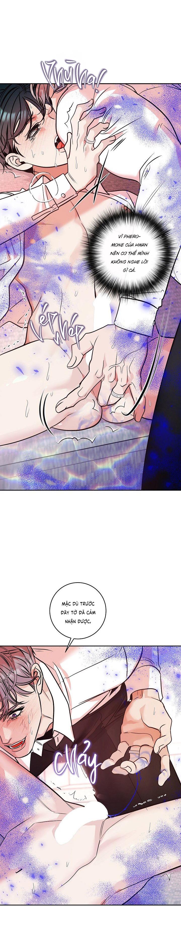 Đọc truyện NUÔI DƯỠNG BETA - Chapter 13