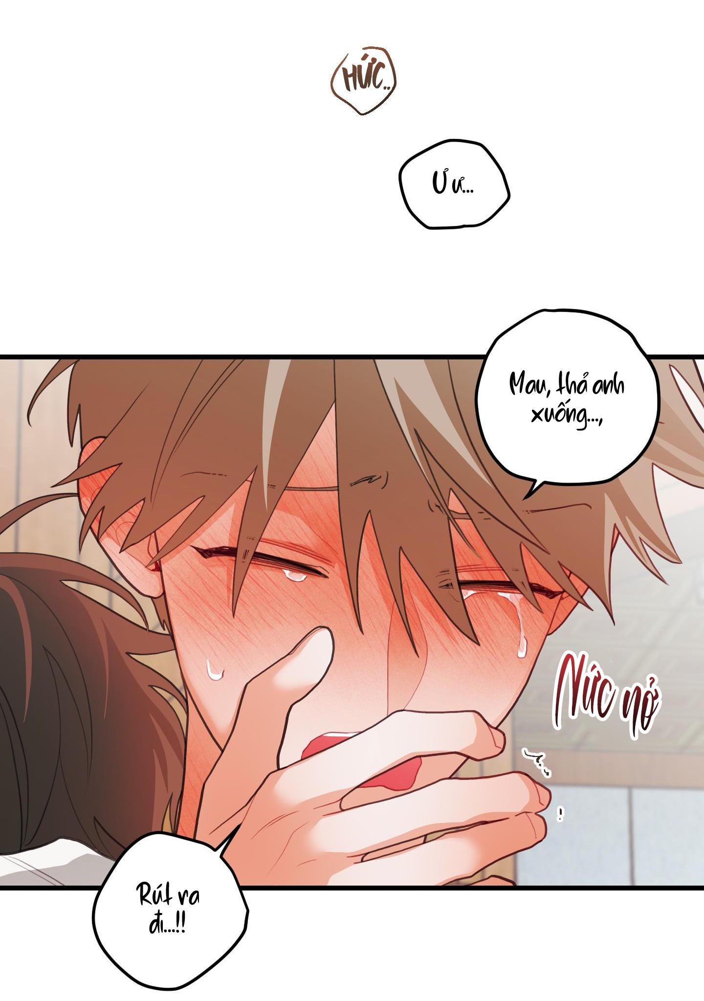 Đọc truyện CHUYỆN TÌNH HOA LÊ NỞ - Chapter 37