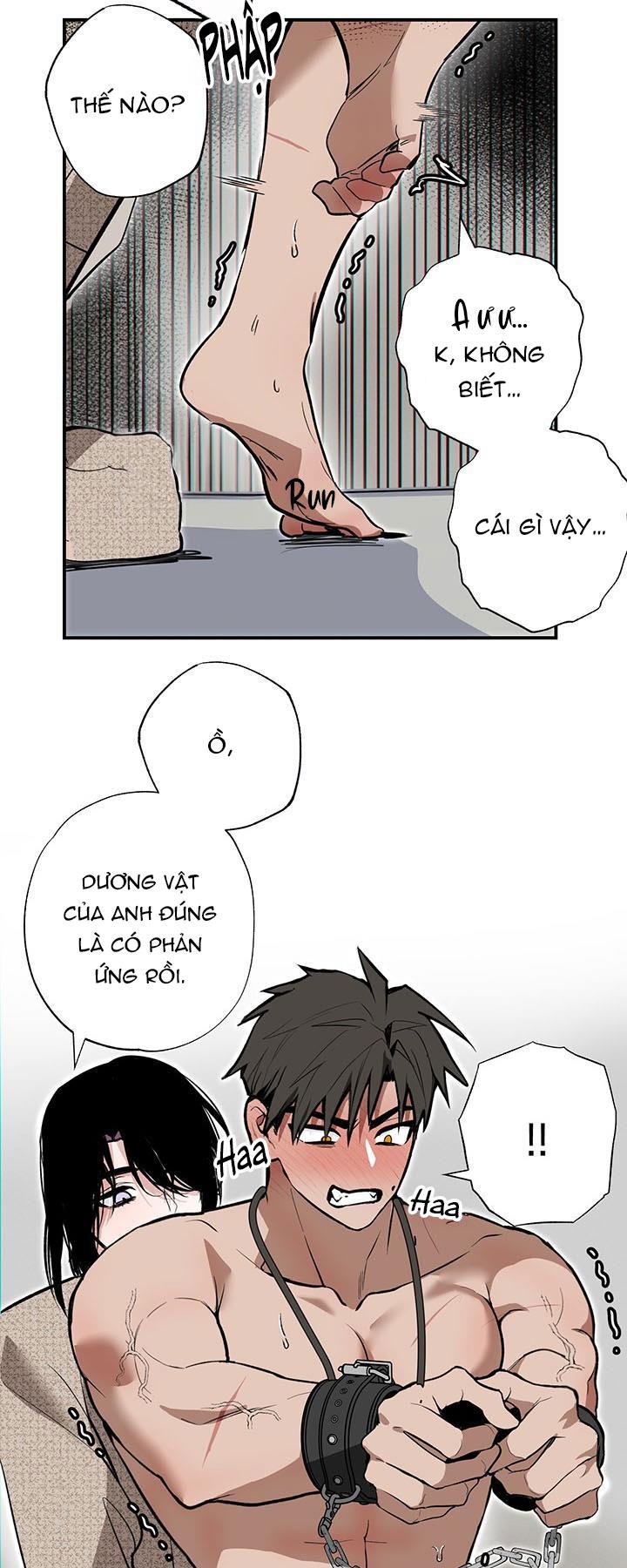 Đọc truyện DŨNG SĨ KHÔNG ĐƯỢC ĐI QUA LỐI ĐÓ - Chapter 5