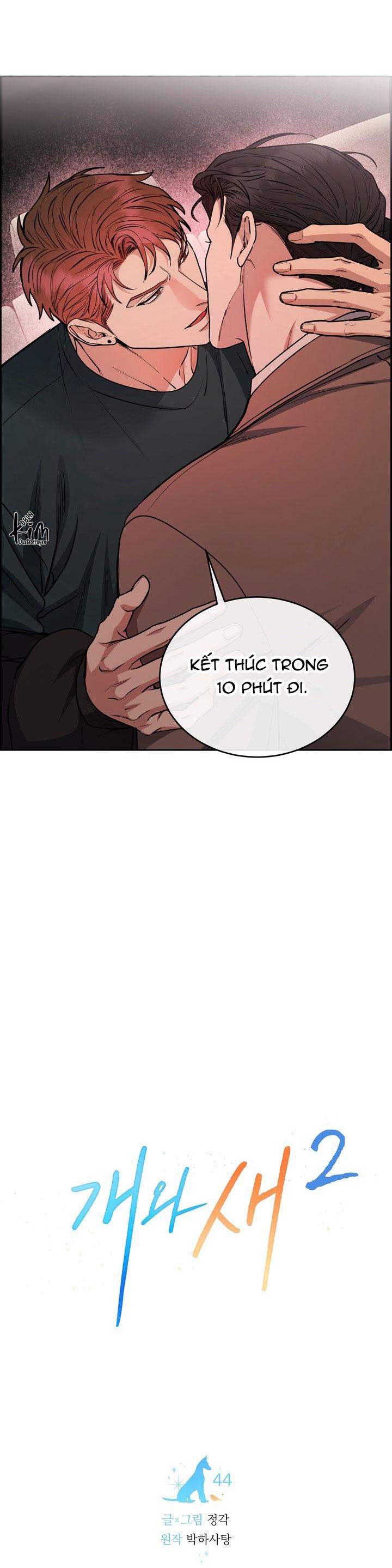 Đọc truyện CHÓ VÀ CHIM - Chapter 44