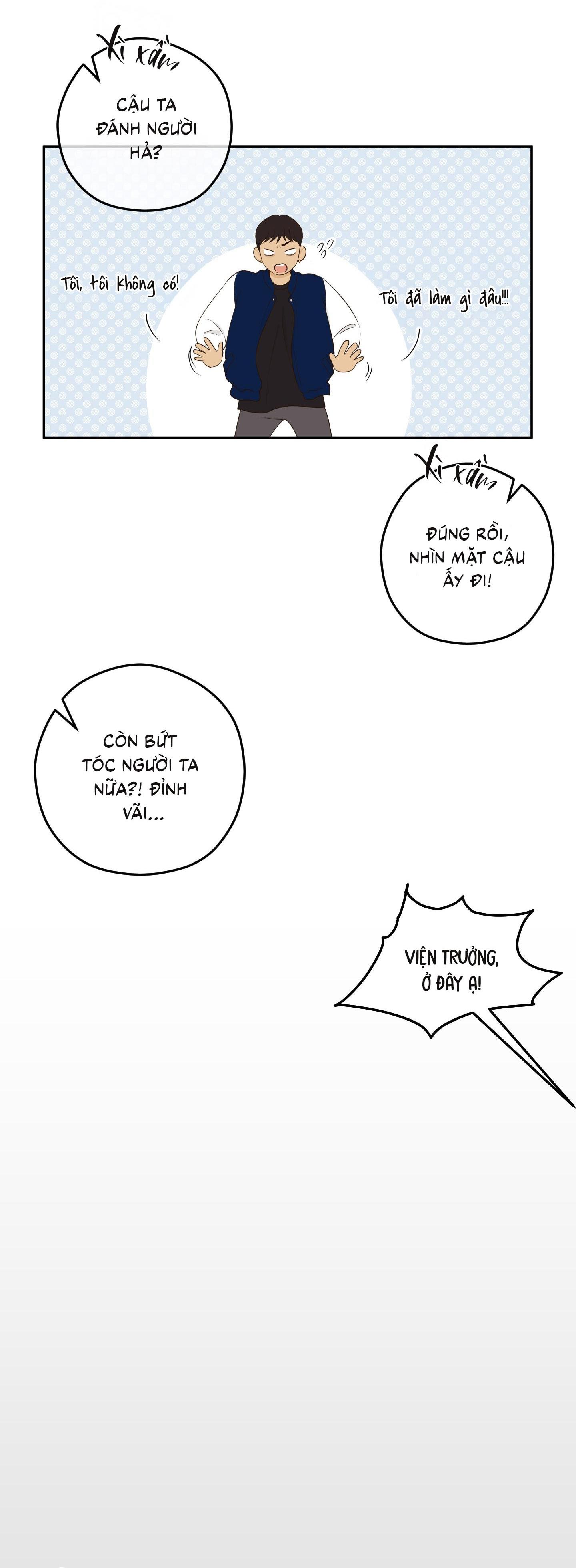 Đọc truyện Ngọn Gió Dịu Dàng - Chapter 12