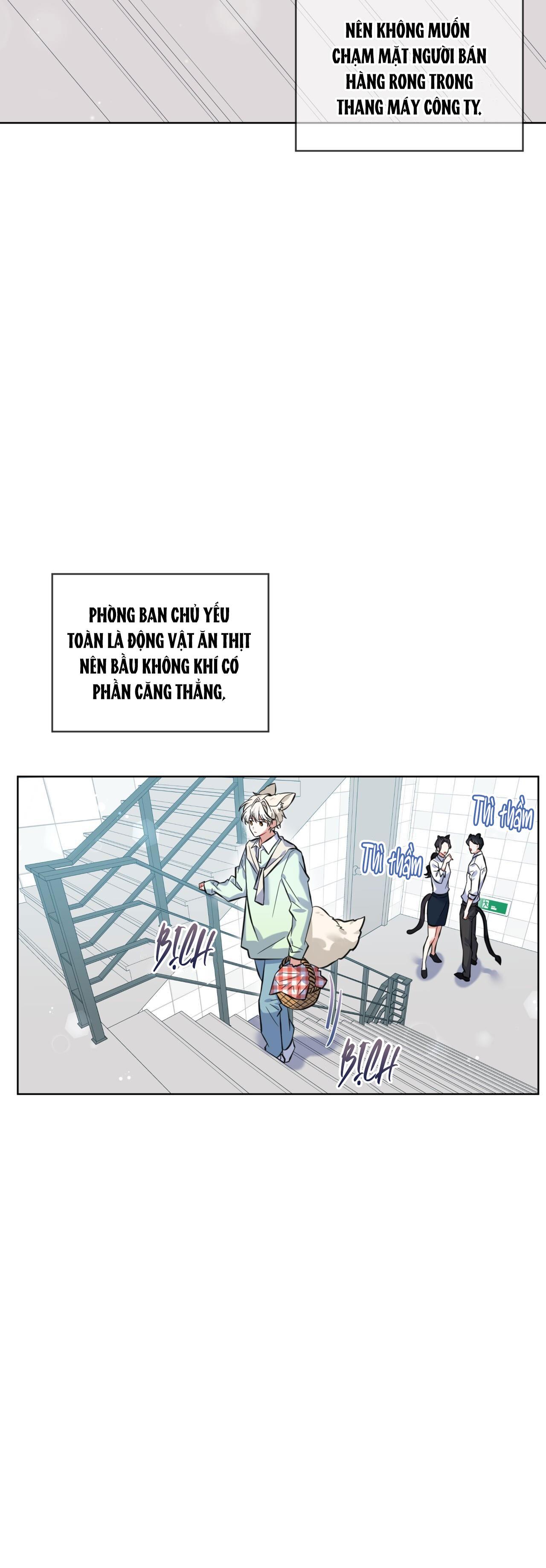 Đọc truyện NƯỚC UỐNG TÌNH YÊU CỦA CÁO PLIN - Chapter 1