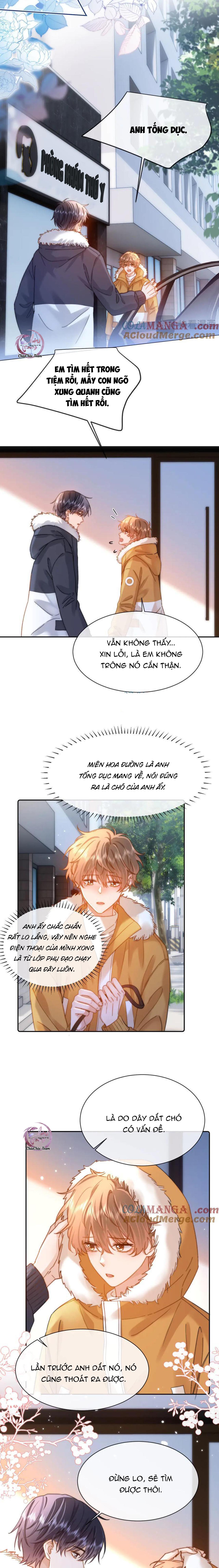 Đọc truyện Chất Dị Ứng Đáng Yêu - Chapter 49