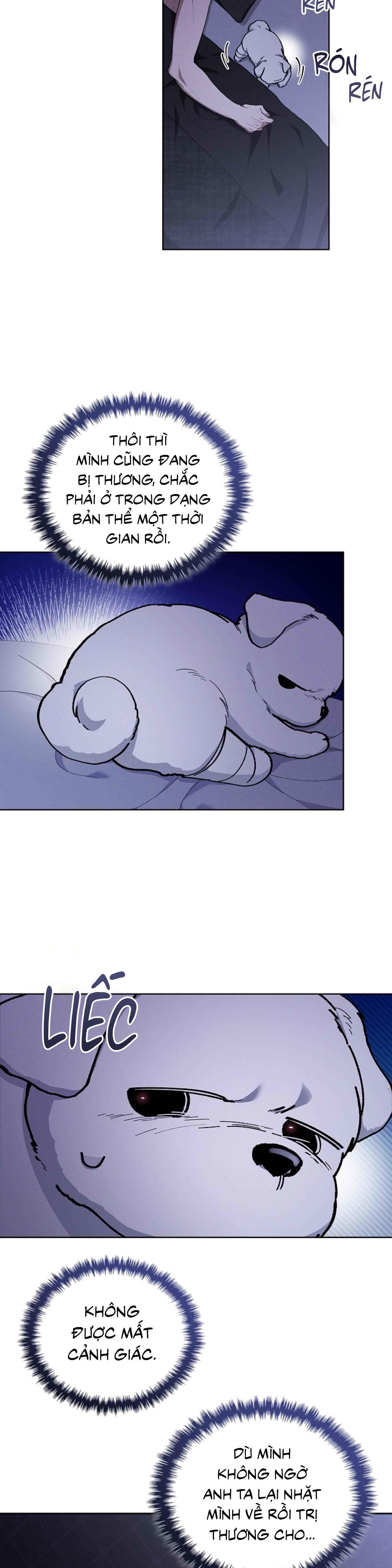 Đọc truyện ĐỪNG ĐỘNG VÀO CÚN CON! - Chapter 4