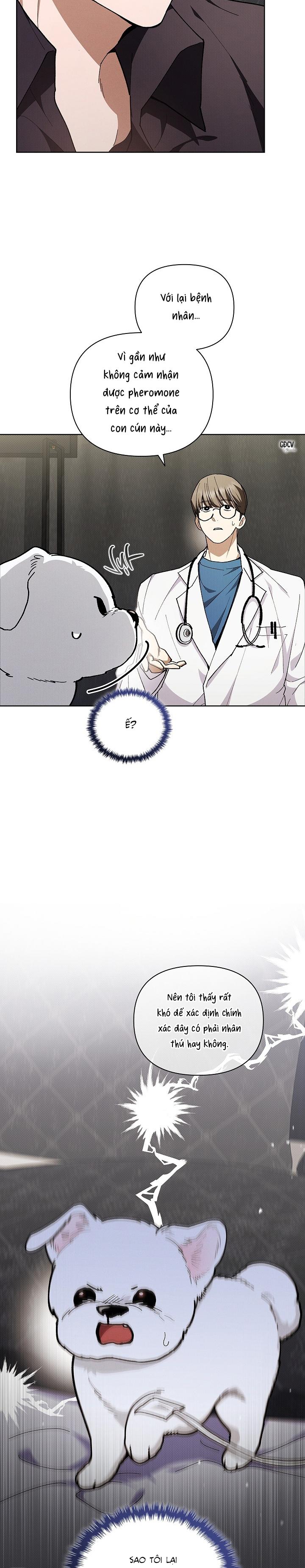 Đọc truyện ĐỪNG CHẠM VÀO CÚN CON CỦA TÔI - Chapter 4