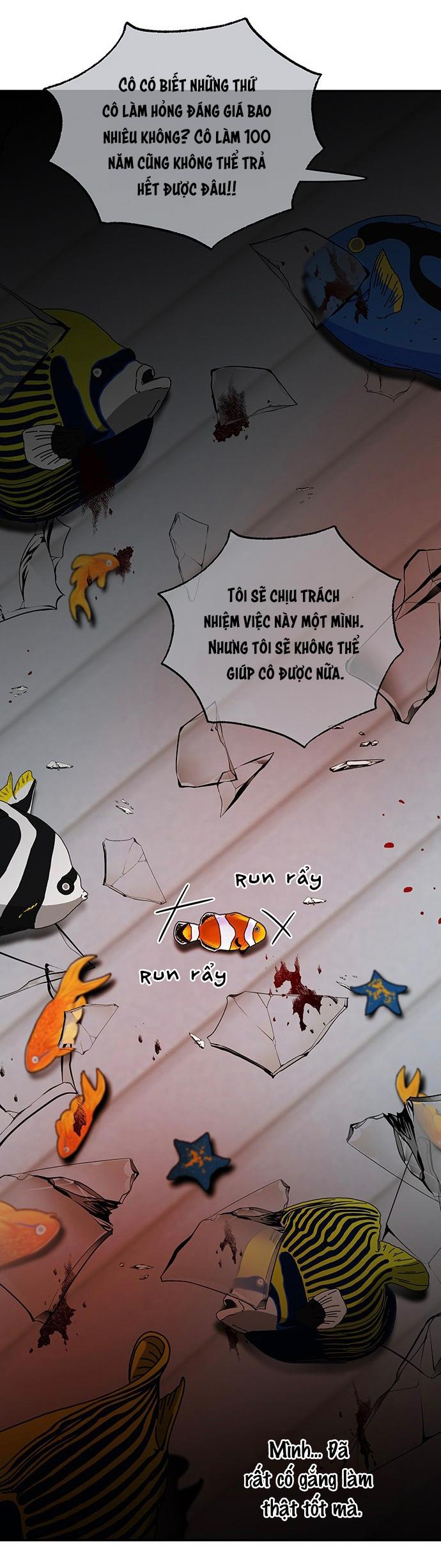 Đọc truyện Chàng tiên cá tôi yêu - Chapter 4