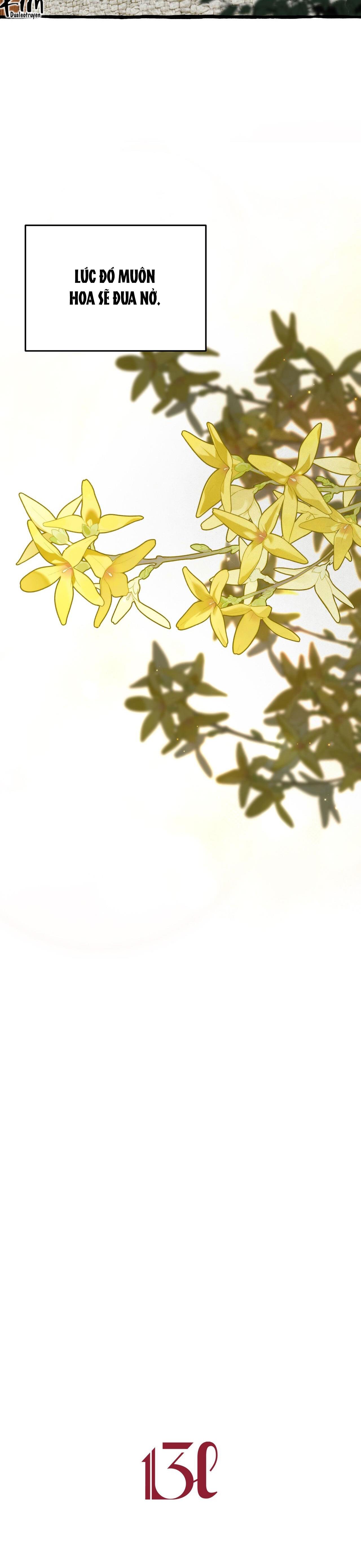 Đọc truyện BL CỔ TRANG-ÂU CỔ NGẮN NHÀ KIM - Chapter 30.5