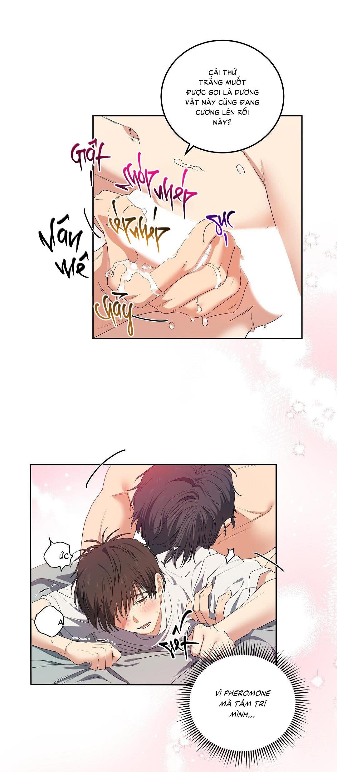 Đọc truyện  Cherry Cake - Chapter 1