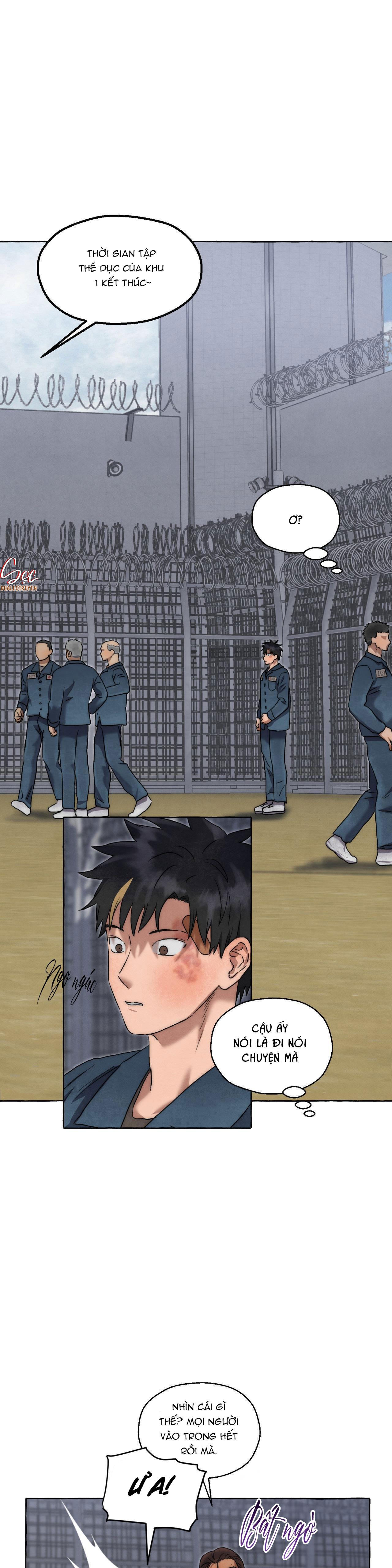 Đọc truyện NHỮNG CON CHÓ TRONG TÙ - Chapter 23