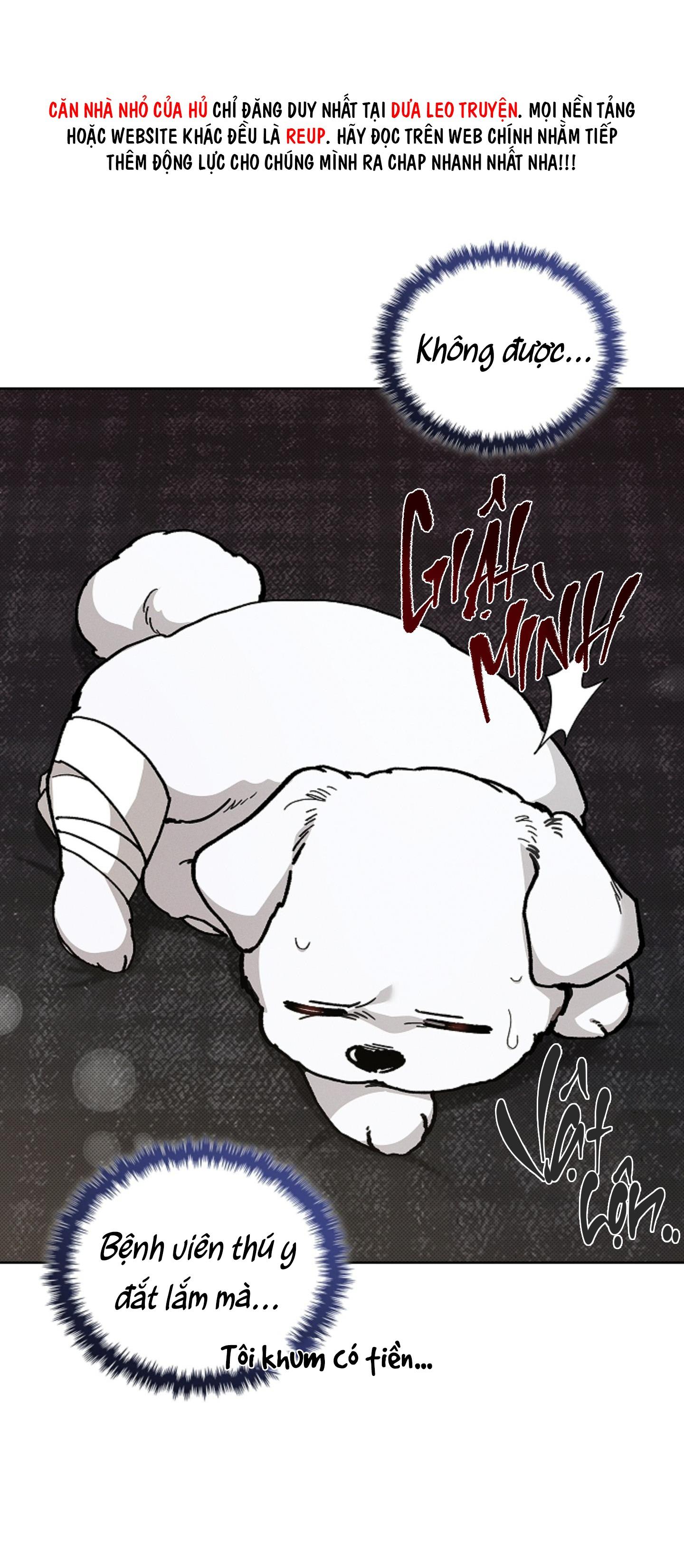 Đọc truyện ĐỪNG ĐỤNG VÀO BÉ CÚN - Chapter 3