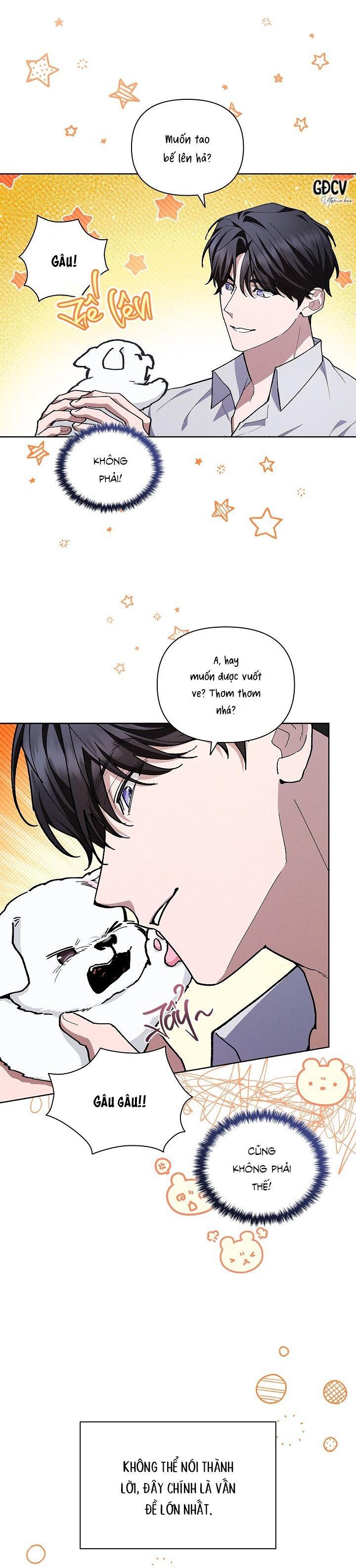 Đọc truyện ĐỪNG CHẠM VÀO CÚN CON CỦA TÔI - Chapter 6