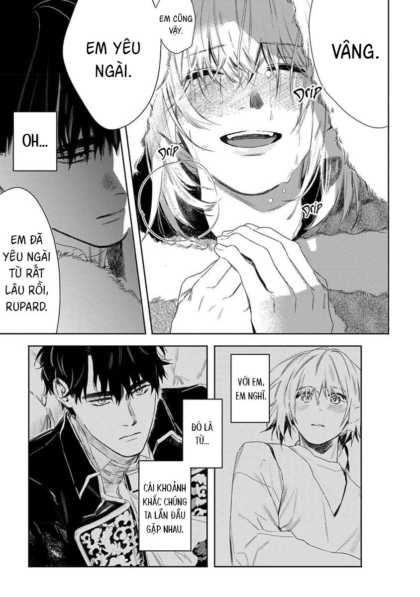 Đọc truyện Hoa hồng dại và những kẻ giả tạo - Chapter 6