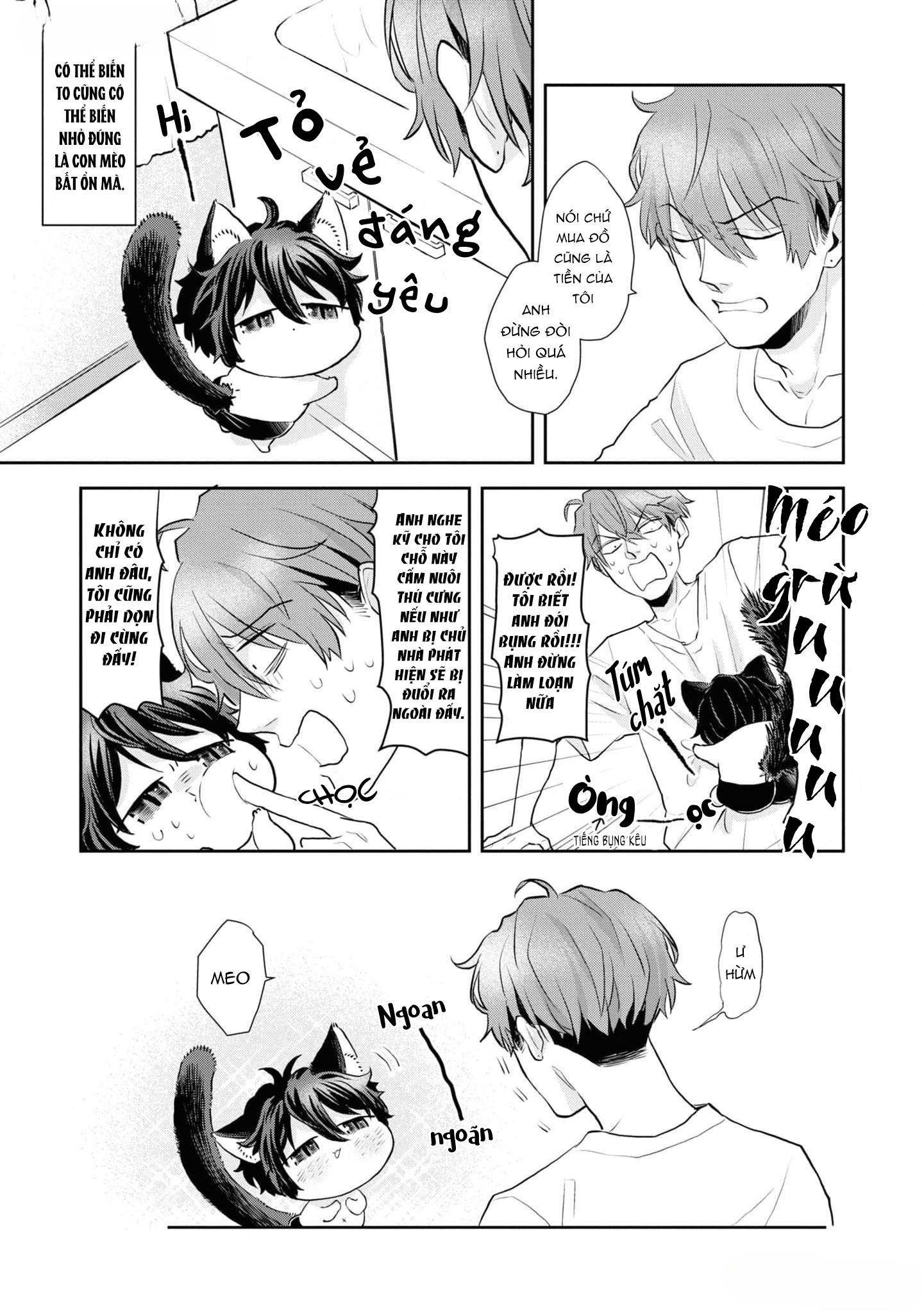 Đọc truyện Chú mèo đẹp trai muốn được Haruta nuôi dưỡng - Chapter 2