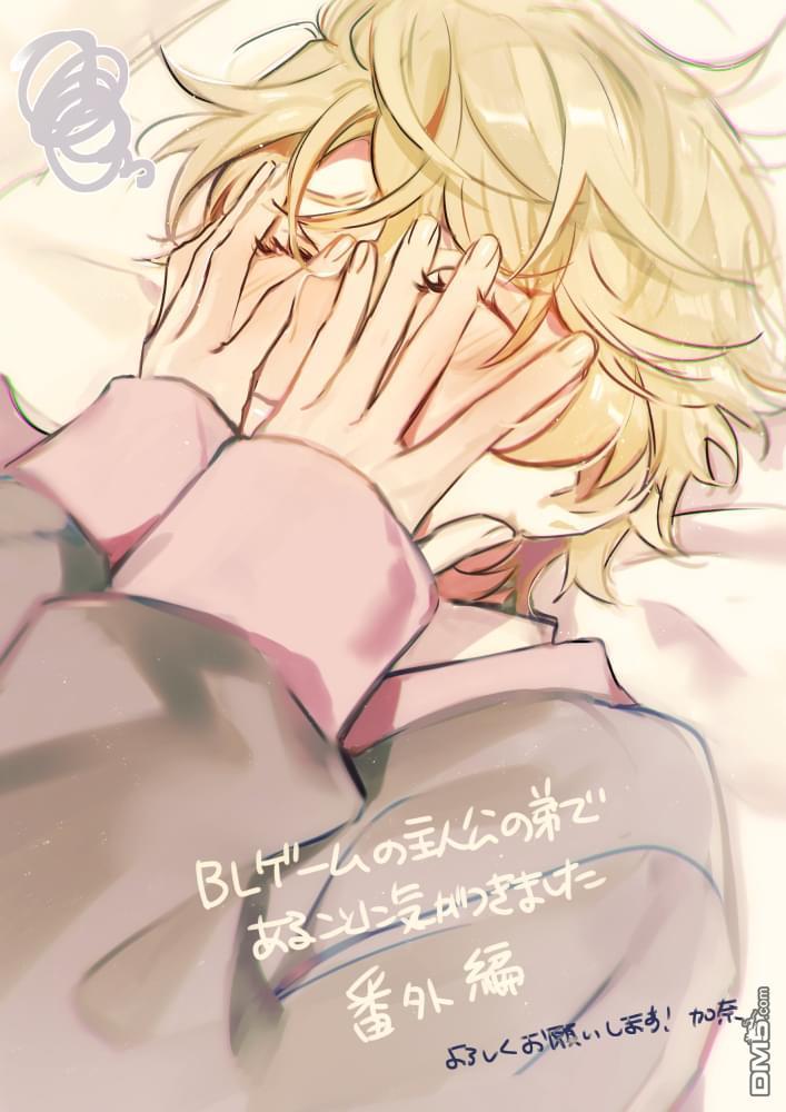 Đọc truyện Tôi Nhận Ra Mình Là Em Trai Của Nhân Vật Chính Game BL - Chapter 17