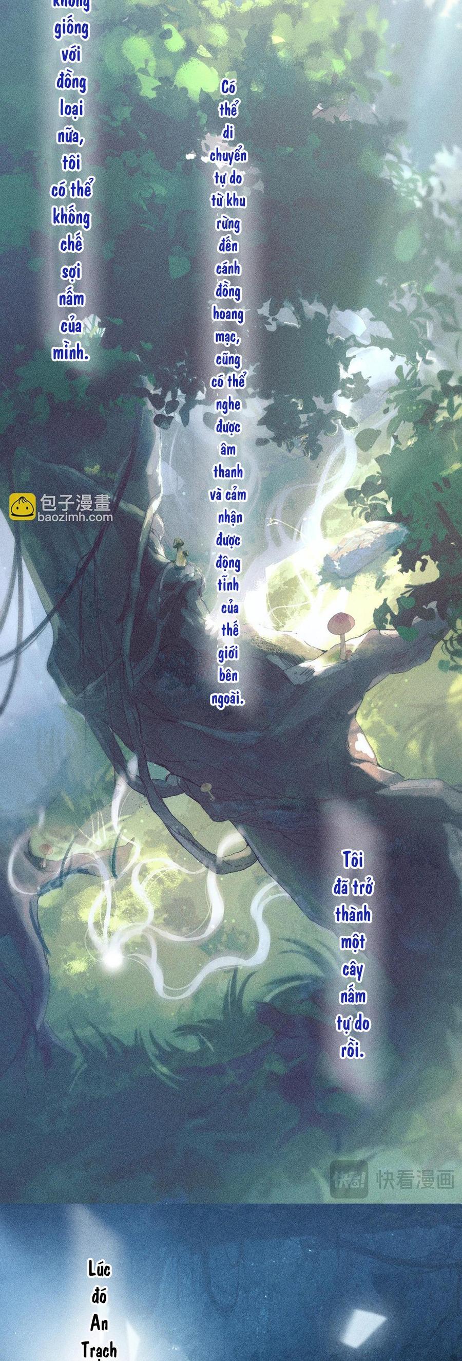 Đọc truyện Cây Nấm Nhỏ - Chapter 10