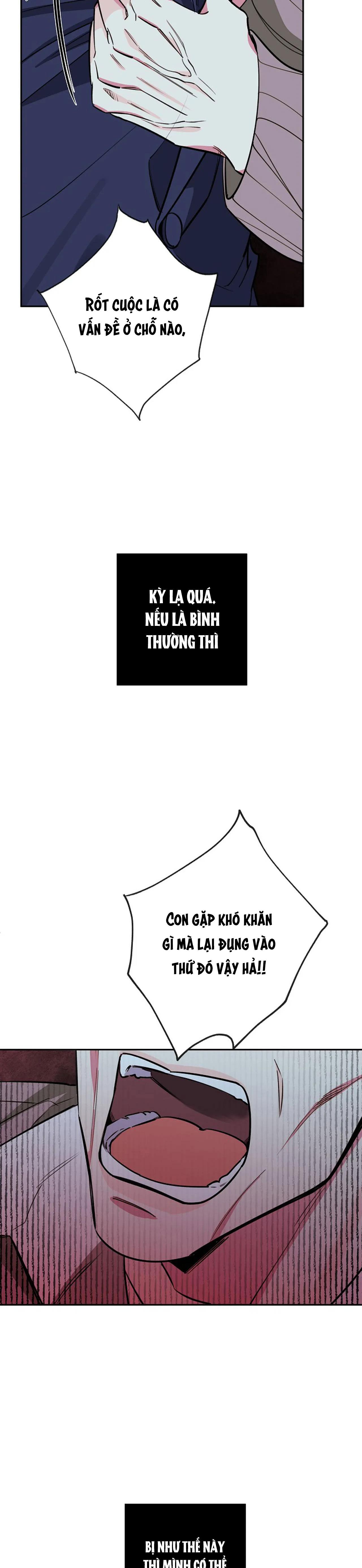 Đọc truyện ĐÊM DỊU DÀNG - Chapter 55