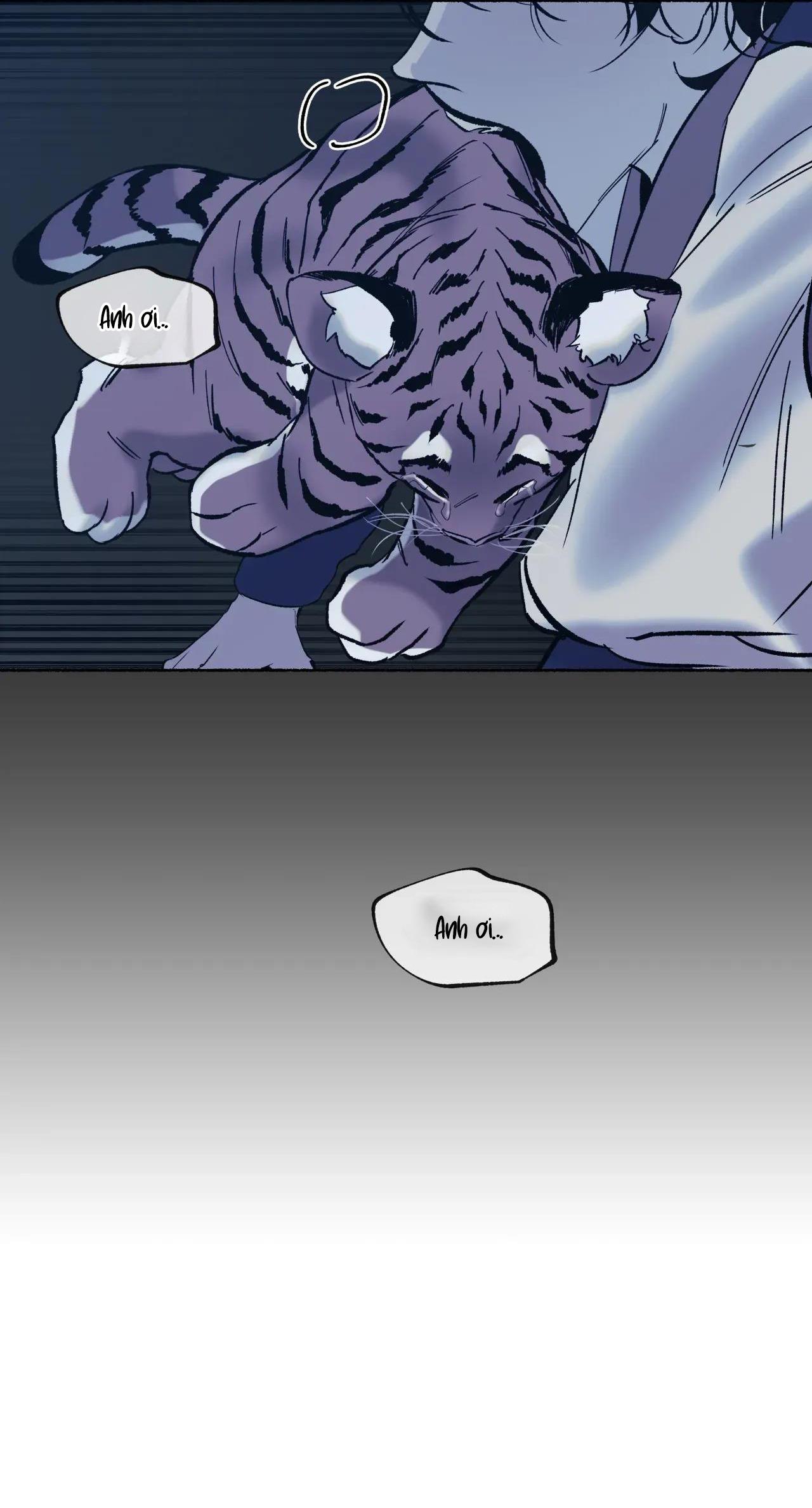 Đọc truyện HỔ NGÀN NĂM - Chapter 55