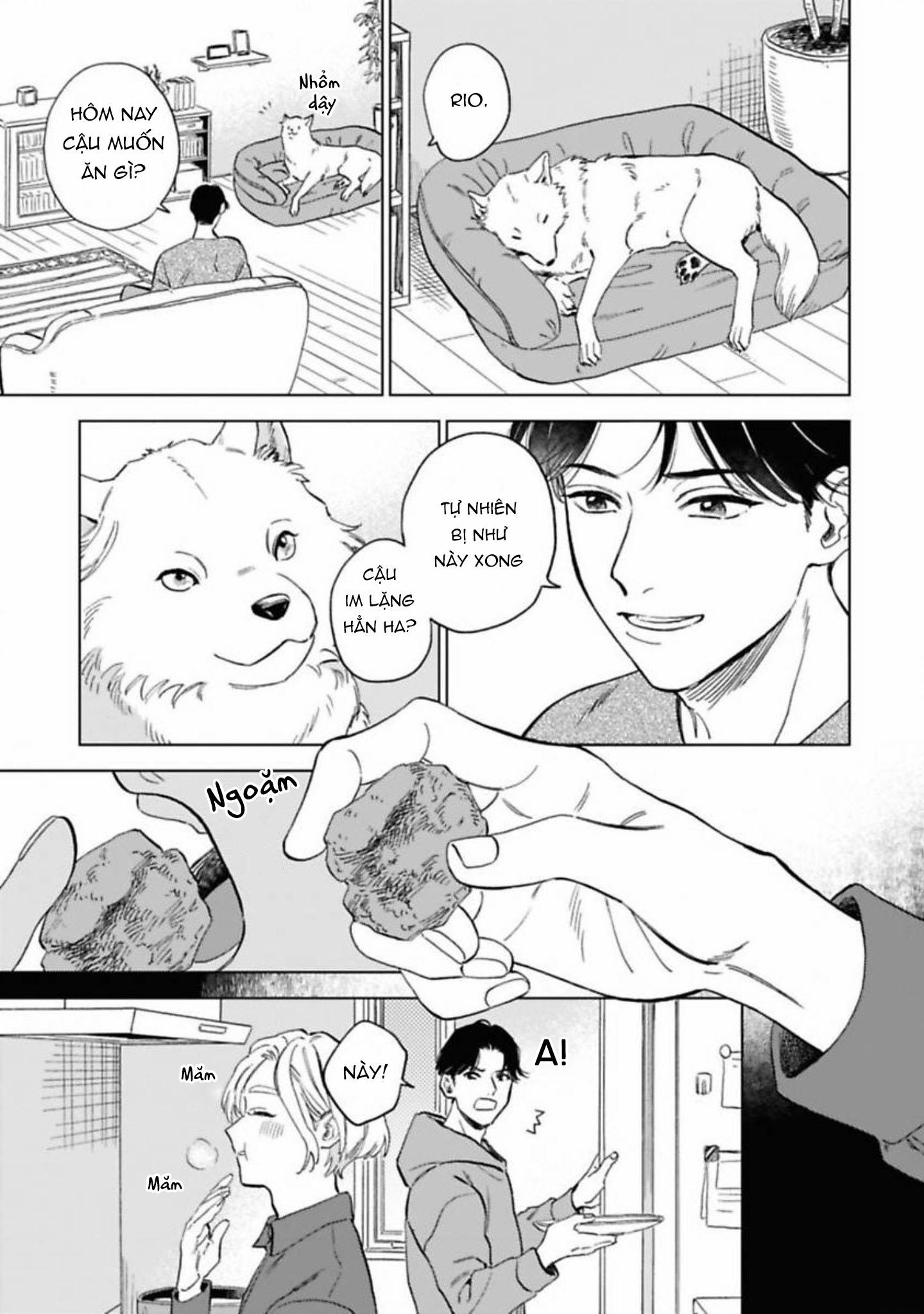 Đọc truyện Lời Tỏ Tình Của Chú Sói - Chapter 5