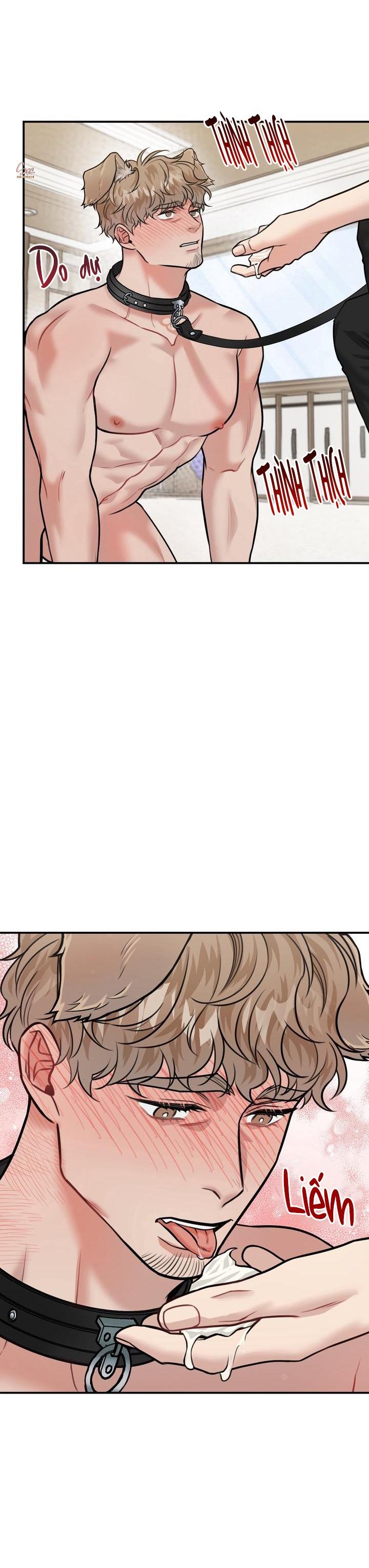 Đọc truyện HƯỚNG DẪN BDSM CƠ BẢN - Chapter 12
