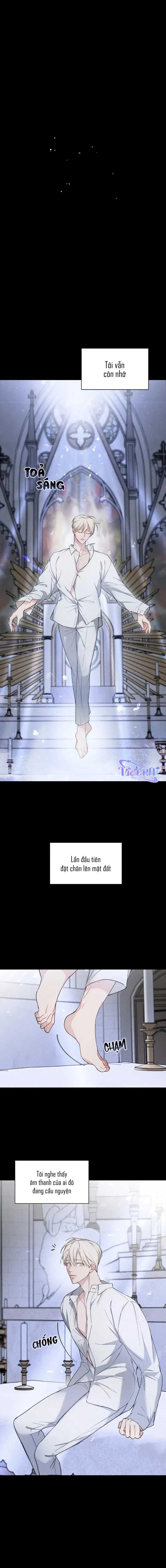 Đọc truyện Đêm Xưng Tội - Chapter 3