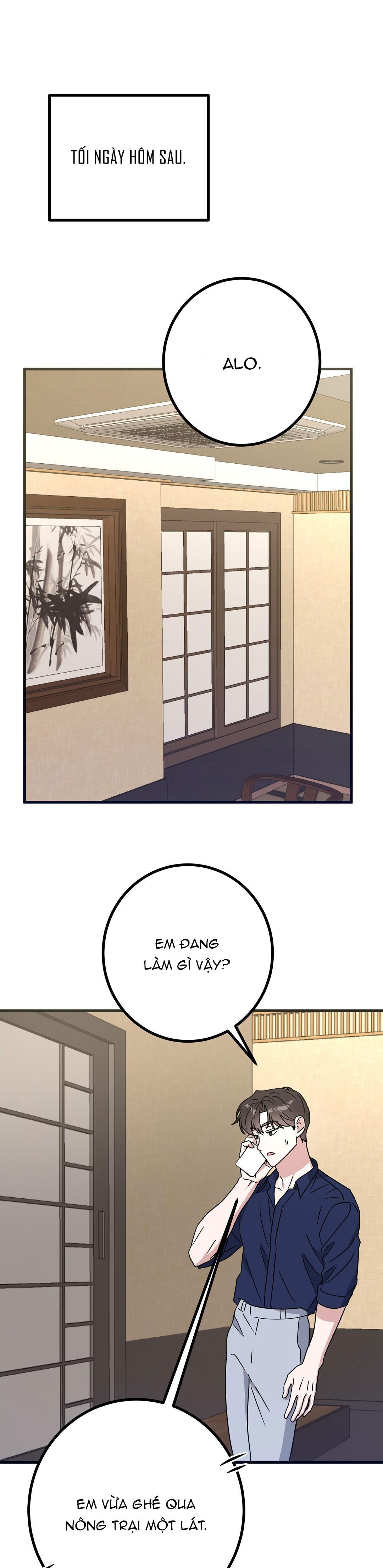 Đọc truyện NHÀ TÔI THÀNH PHIM TRƯỜNG MẤT RỒI - Chapter 52