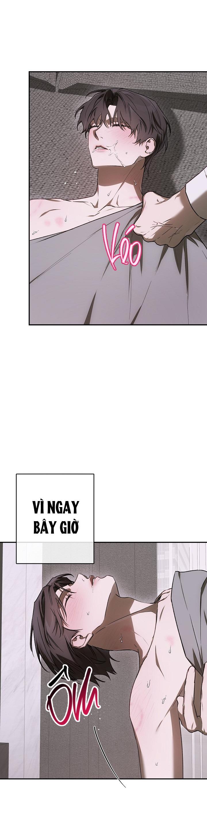 Đọc truyện BẢO VẬT - Chapter 23