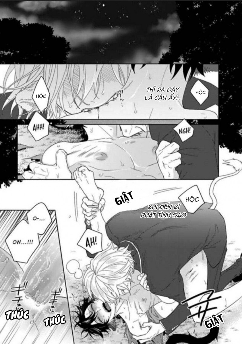 Đọc truyện Playboy beast - Chapter 5