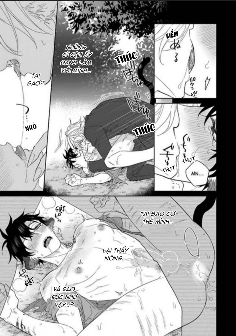 Đọc truyện Playboy beast - Chapter 5