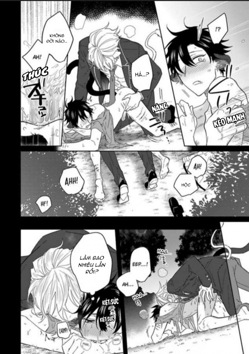 Đọc truyện Playboy beast - Chapter 5