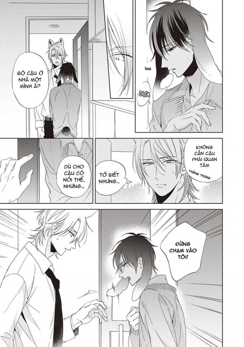 Đọc truyện Ookami-kun không đáng sợ chút nào - Chapter 1