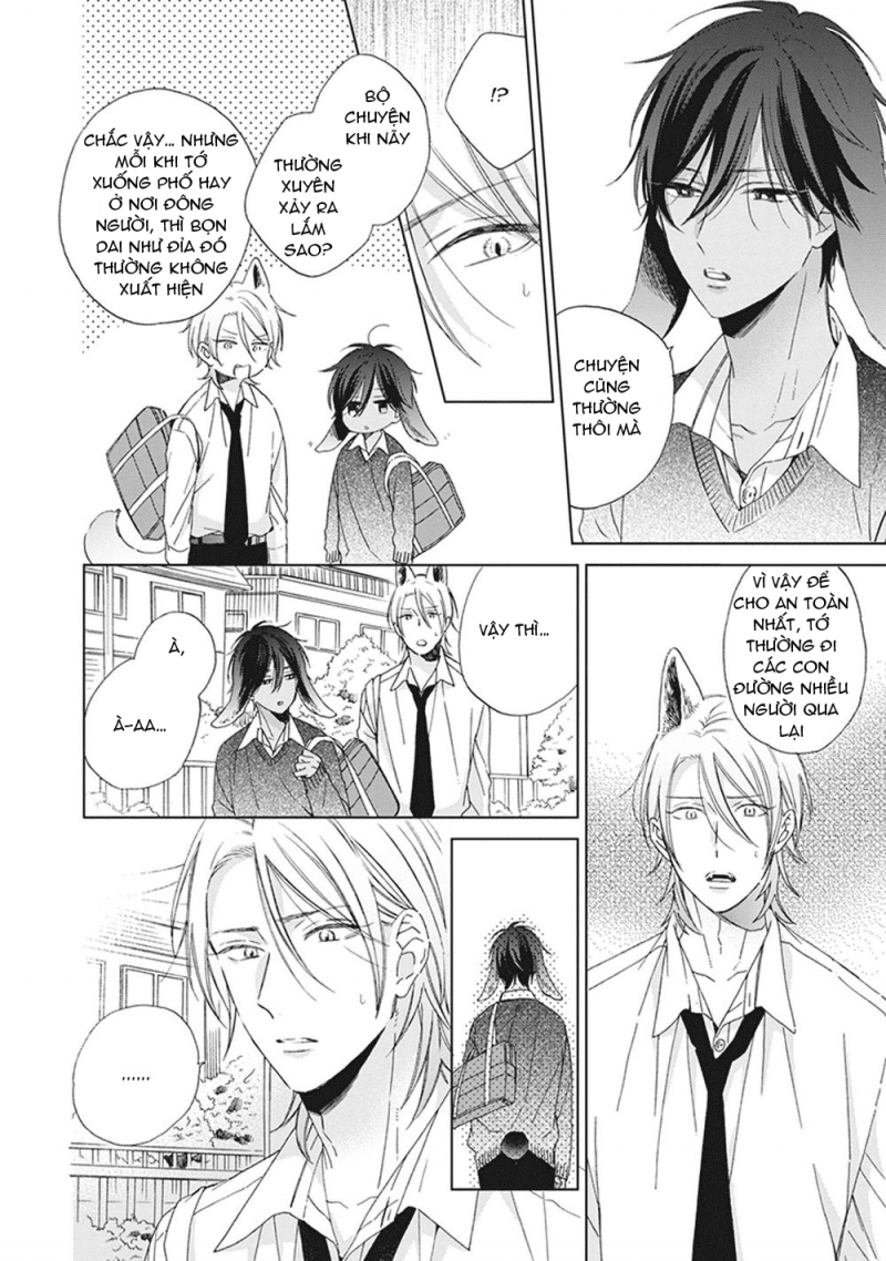 Đọc truyện Ookami-kun không đáng sợ chút nào - Chapter 2