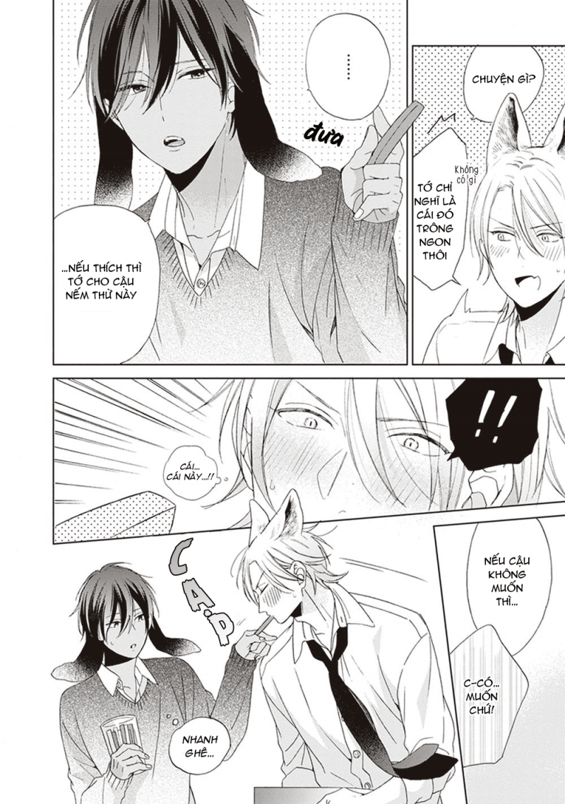 Đọc truyện Ookami-kun không đáng sợ chút nào - Chapter 3
