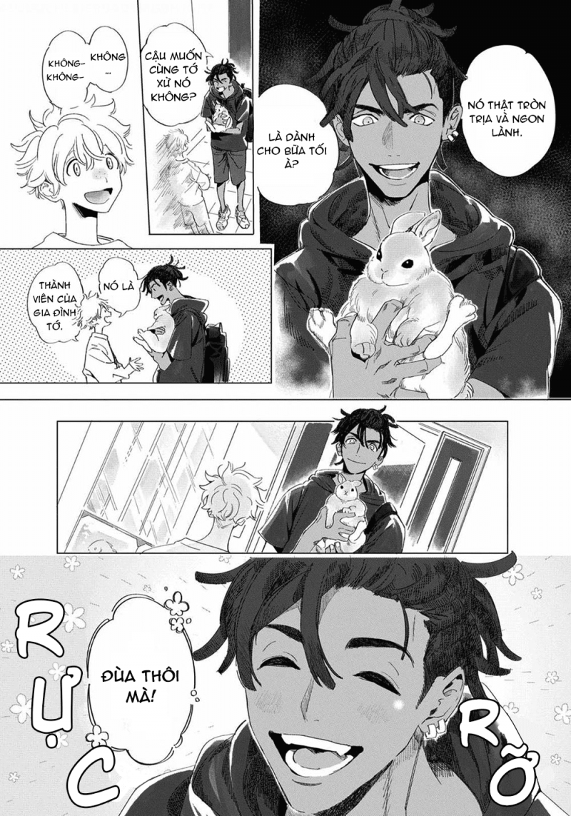 Đọc truyện Đất Nước Của Những Chú Sư Tử - Chapter 1