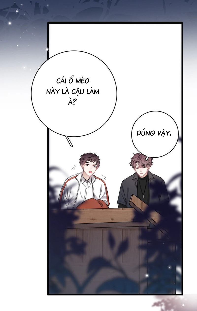Đọc truyện NGƯỜI ĐÀN ÔNG ẤY KHIẾN TÔI KHÔNG THỂ CƯỠNG LẠI - Chapter 11