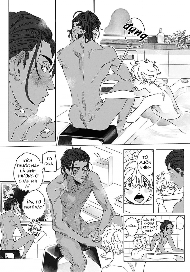 Đọc truyện Đất Nước Của Những Chú Sư Tử - Chapter 2