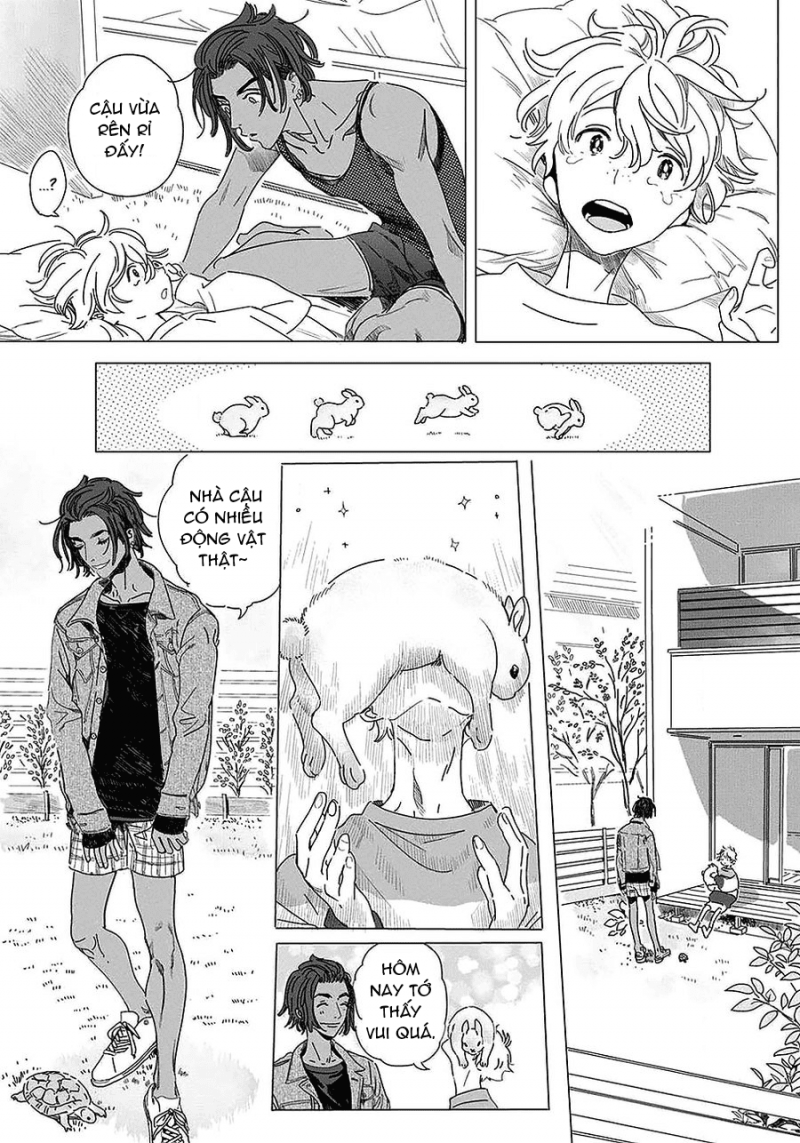 Đọc truyện Đất Nước Của Những Chú Sư Tử - Chapter 2