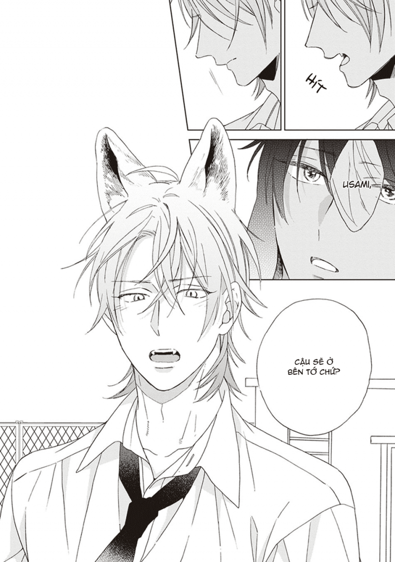 Đọc truyện Ookami-kun không đáng sợ chút nào - Chapter 5