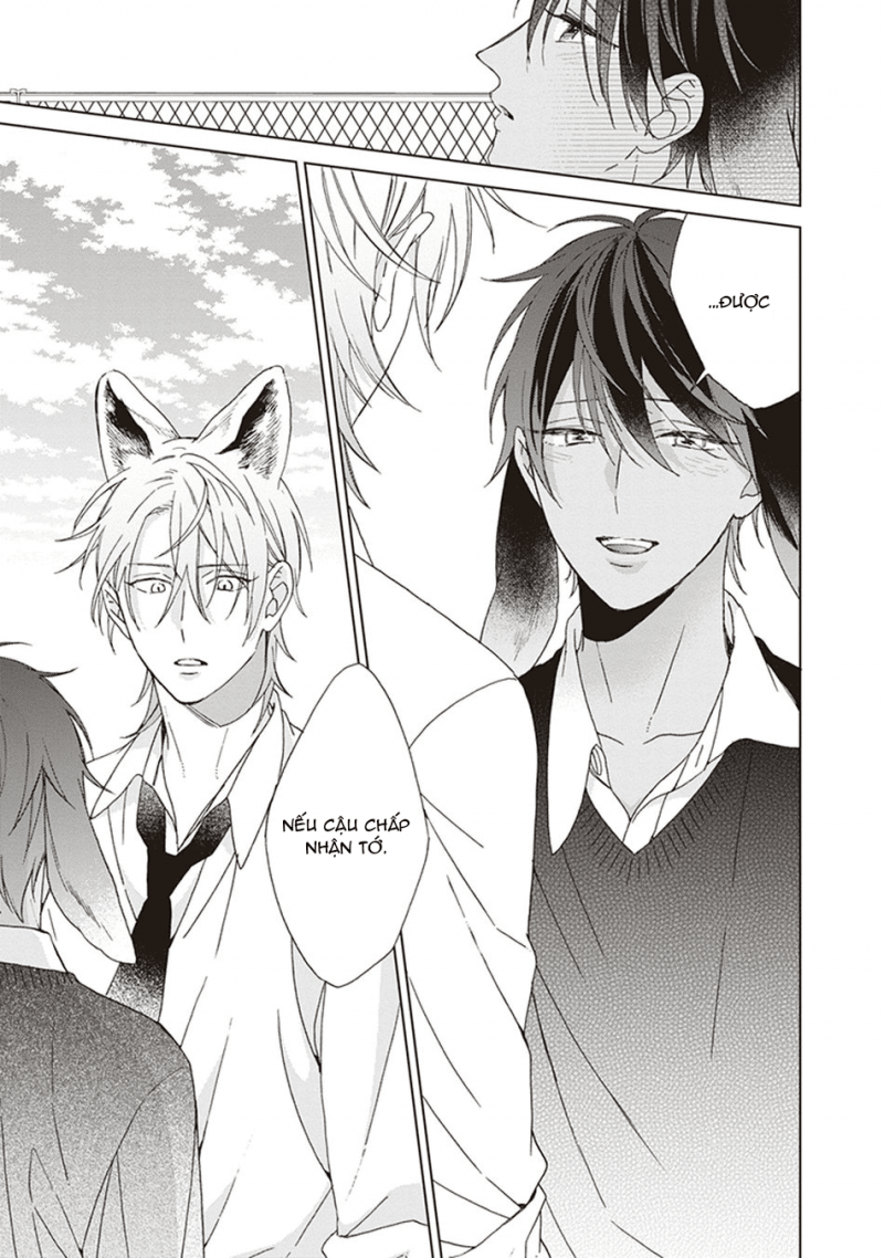 Đọc truyện Ookami-kun không đáng sợ chút nào - Chapter 5