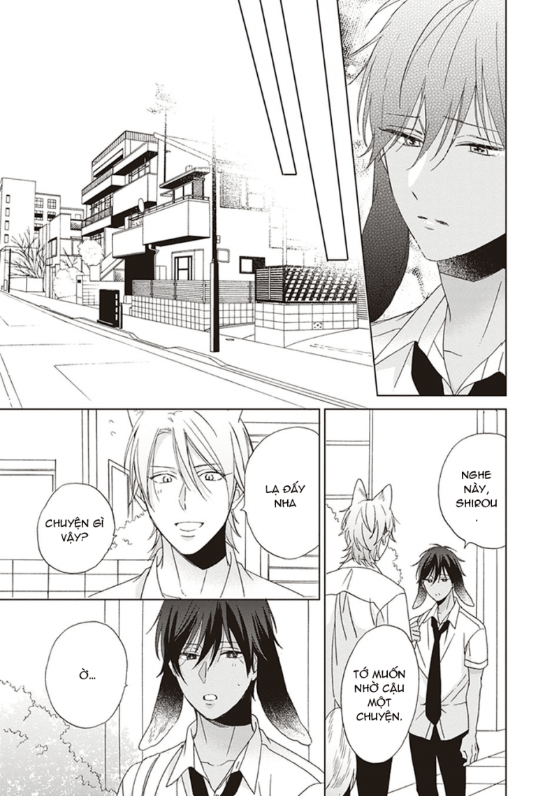 Đọc truyện Ookami-kun không đáng sợ chút nào - Chapter 5