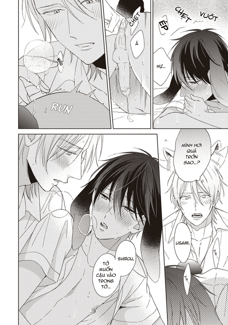 Đọc truyện Ookami-kun không đáng sợ chút nào - Chapter 5