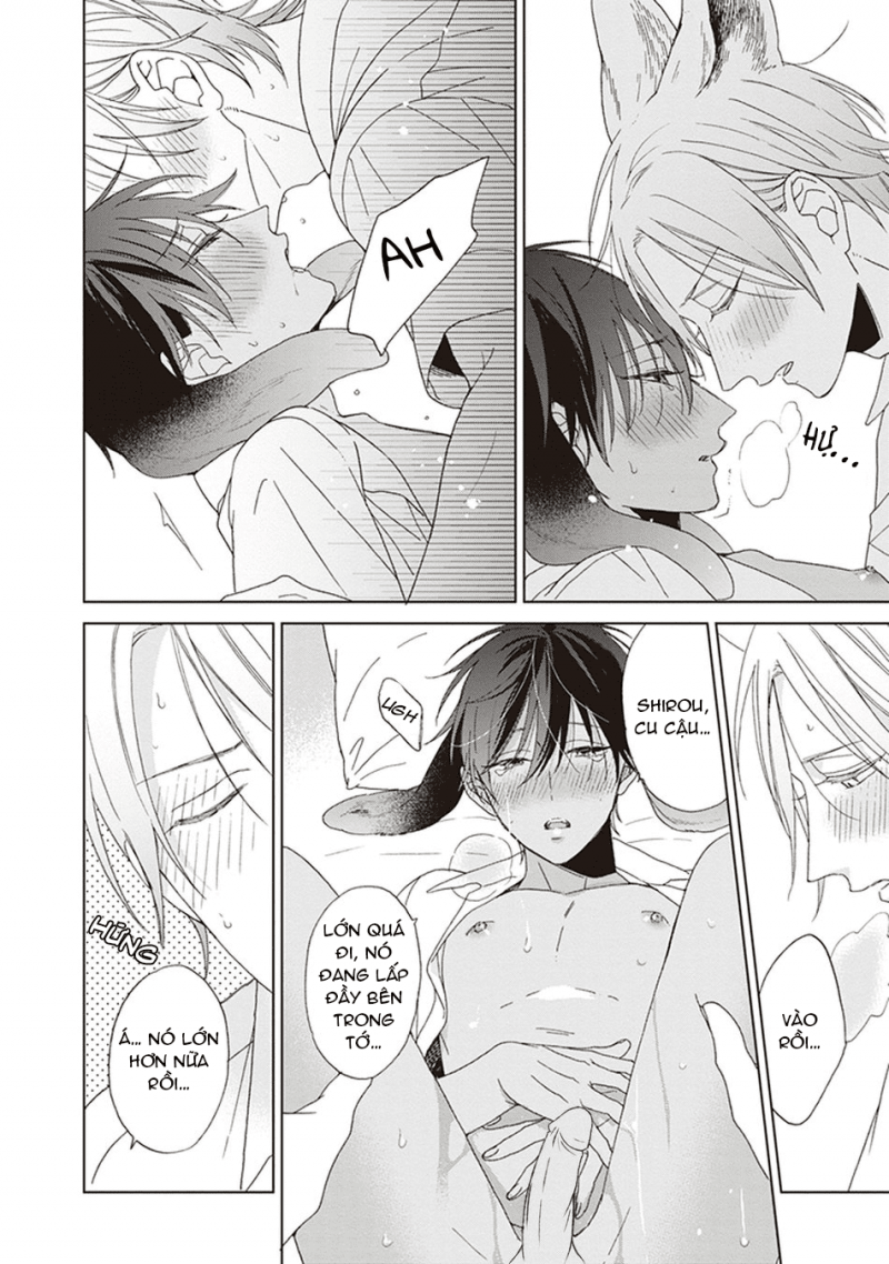 Đọc truyện Ookami-kun không đáng sợ chút nào - Chapter 5