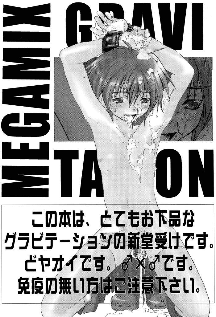Đọc truyện Sự Quyến Rũ Của Megamix - Chapter 3
