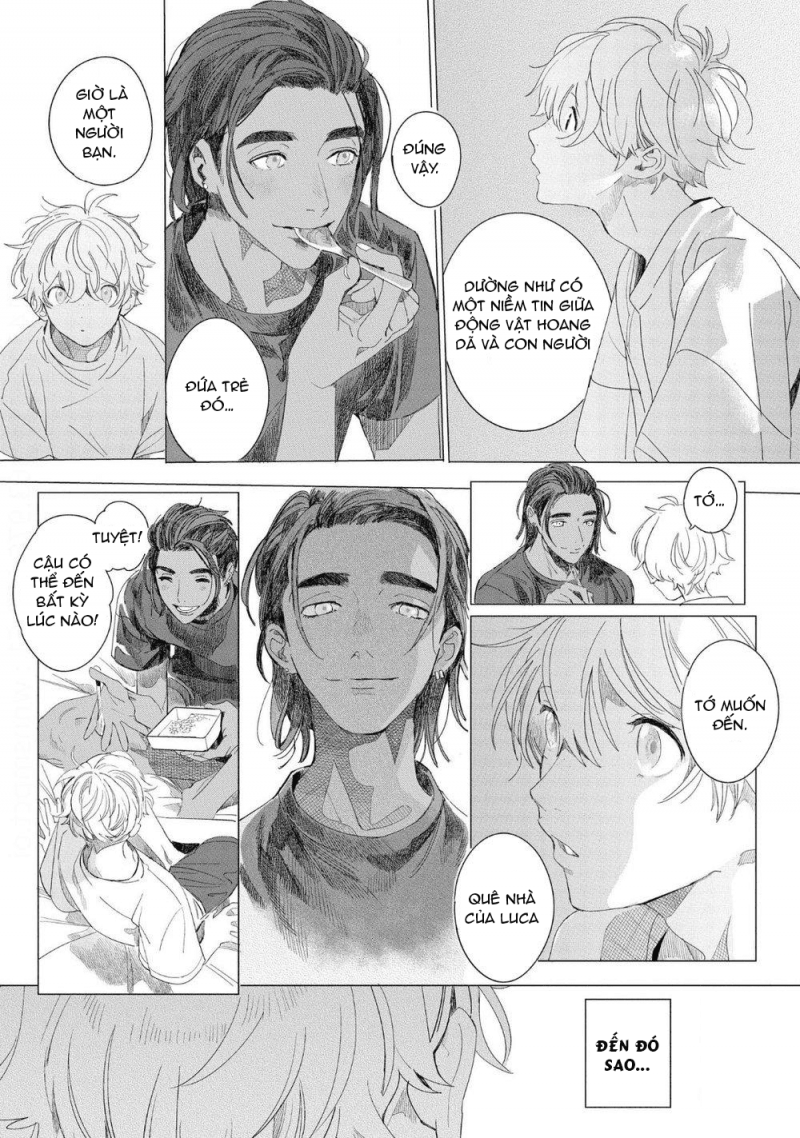 Đọc truyện Đất Nước Của Những Chú Sư Tử - Chapter 4