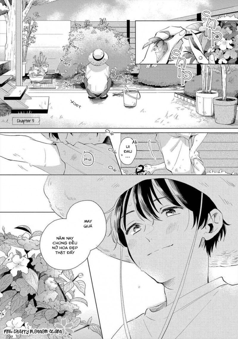 Đọc truyện Mùa Hoa Anh Đào - Chapter 5