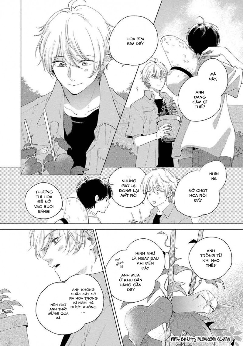 Đọc truyện Mùa Hoa Anh Đào - Chapter 5