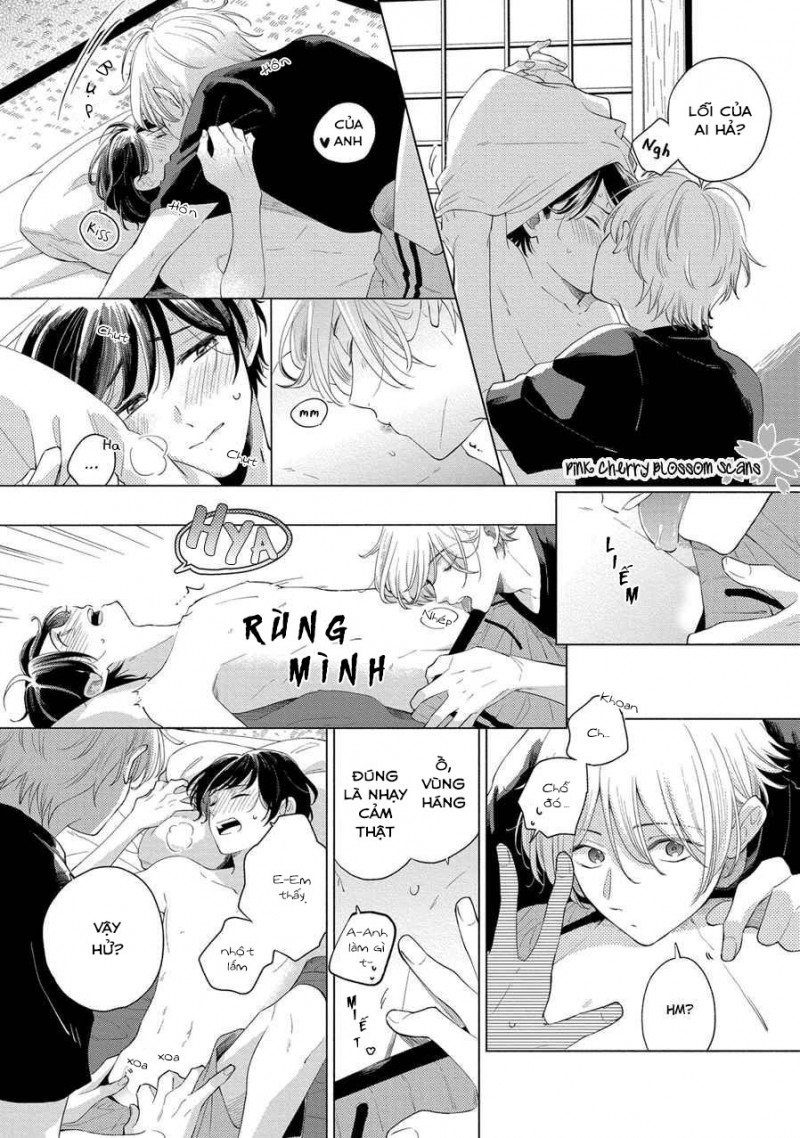 Đọc truyện Mùa Hoa Anh Đào - Chapter 5