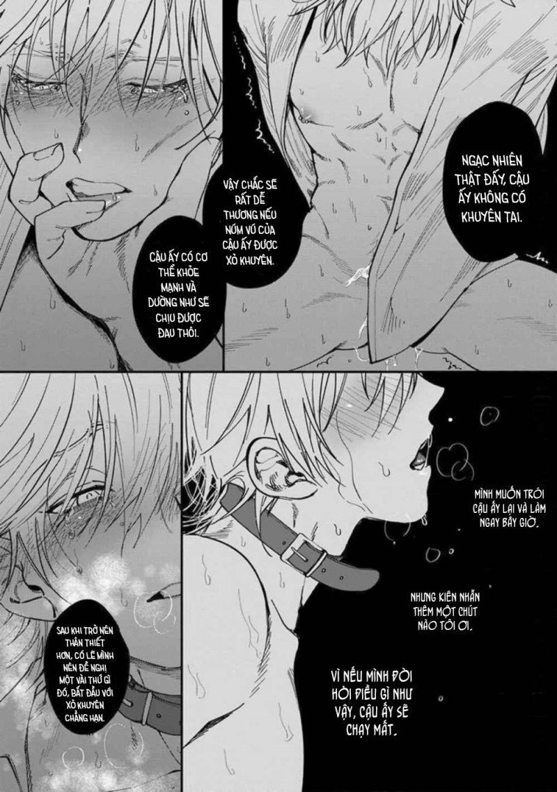 Đọc truyện CHUYẾN ĐI NHƯ SHIT TẠI KABUKICHOU - Chapter 1